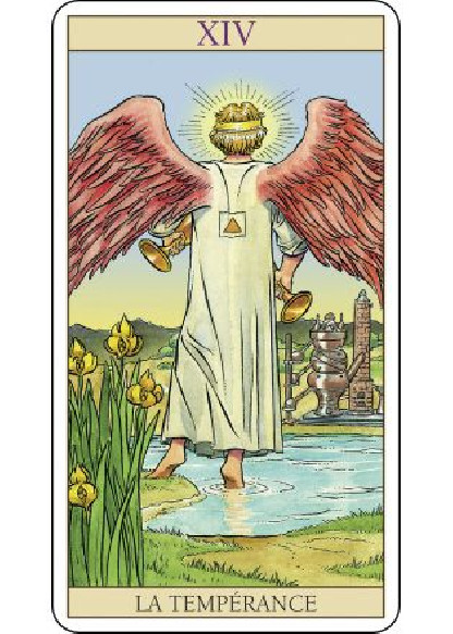 UNE NOUVELLE VISION DU TAROT (29.90€TTC)