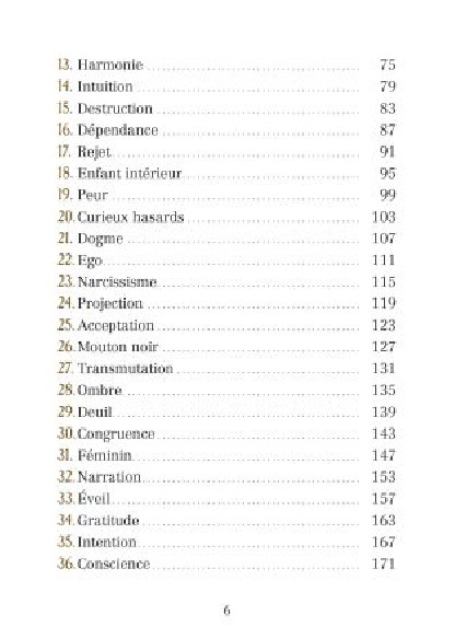 L'Oracle des Curieux Hasards (27€ TTC)