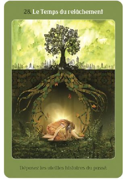 L'Oracle des Arbres Médecine (27€ TTC)