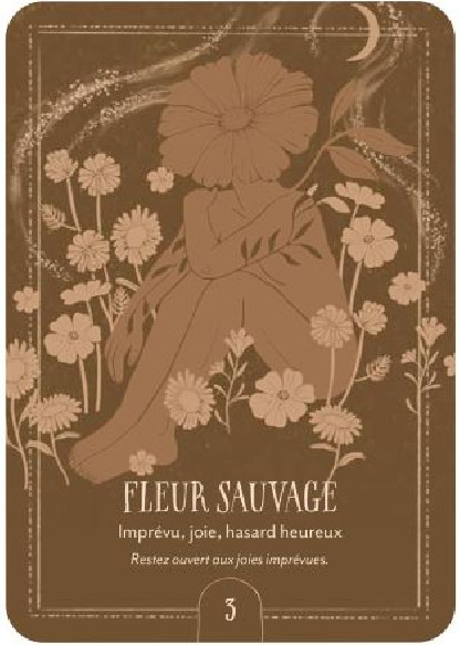 Oralce du chant de la Terre (24.90€ TTC)
