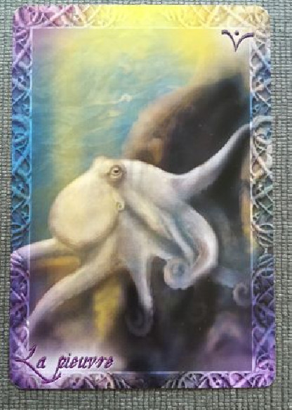 L'ORACLE DU PEUPLE ANIMAL (24.90€ TTC)