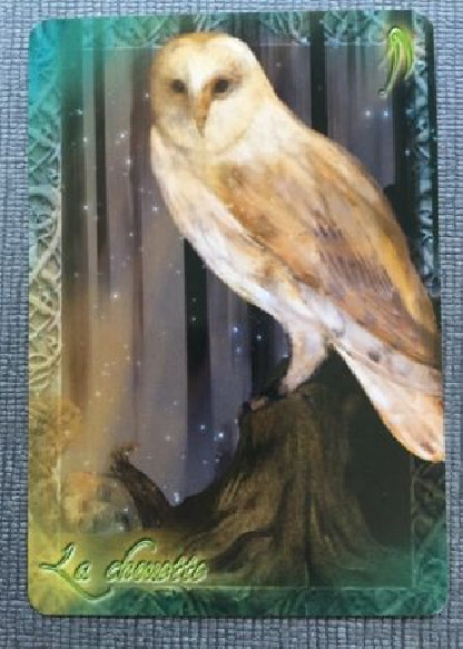 L'ORACLE DU PEUPLE ANIMAL (24.90€ TTC)