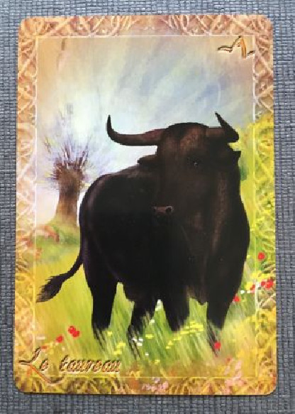 L'ORACLE DU PEUPLE ANIMAL (24.90€ TTC)