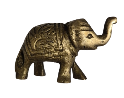 ELEPHANT BRULE ENCENS