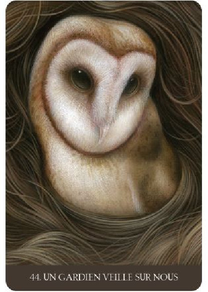 La forêt de la solitude (27.00€ TTC)