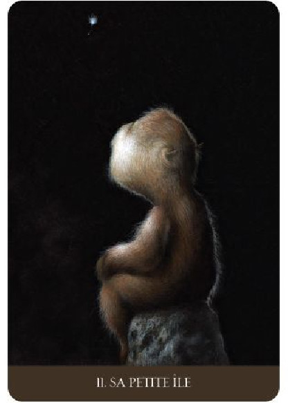 La forêt de la solitude (27.00€ TTC)