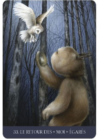 La forêt de la solitude (27.00€ TTC)