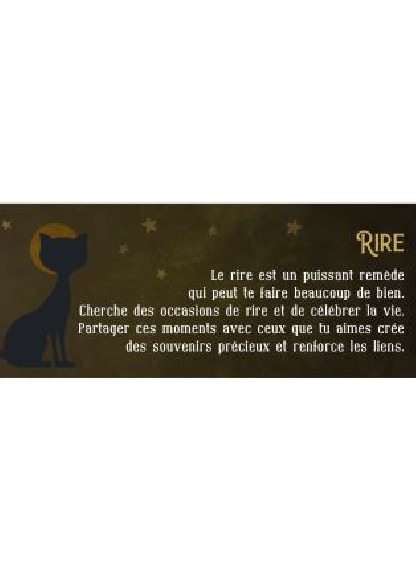 Le petit Oracle du Chat Noir (13.90€ TTC)