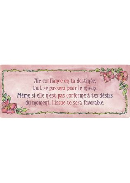 Le petit oracle divinatoire de Mademoiselle Rose (13.90€ TTC)