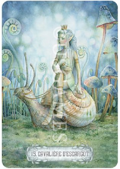 L'Oracle de la Lumière et des Rêves (24.90€ TTC)