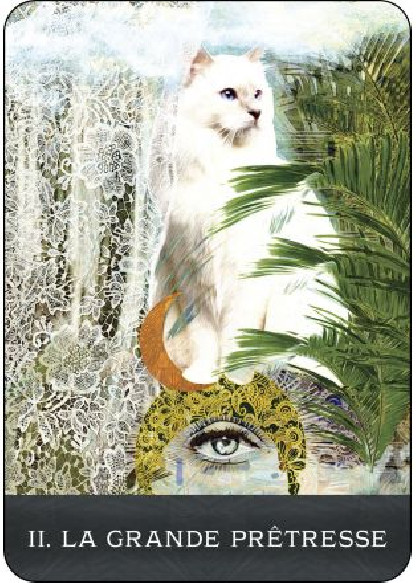 Le Tarot des chats mystérieux (26.00€ TTC)