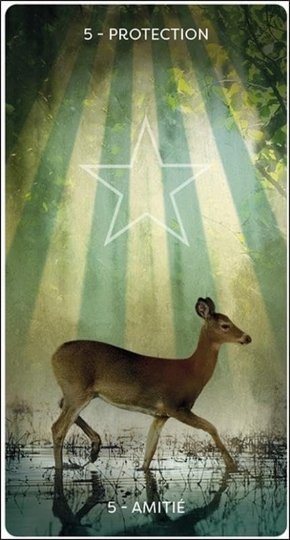 L'ORCALE D'HILDEGARDE (24.00€ TTC)