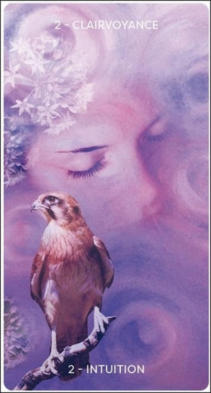 L'ORCALE D'HILDEGARDE (24.00€ TTC)