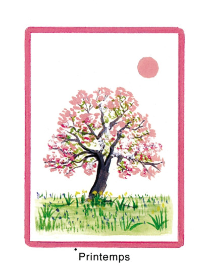 Tarot des Animaux (DESTOCKAGE) (26.90€ TTC)