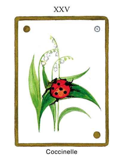 Tarot des Animaux (DESTOCKAGE) (26.90€ TTC)