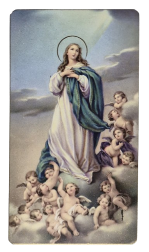 IMAGE MARIE IMMACULEE pm