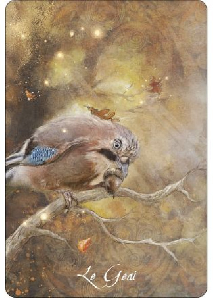 L'oracle des oiseaux messagers (28.00€ TTC)