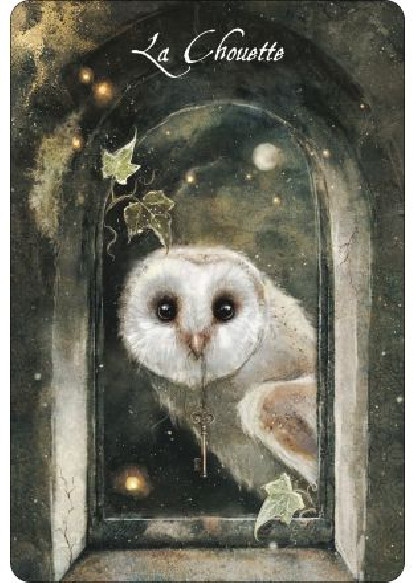 L'oracle des oiseaux messagers (28.00€ TTC)