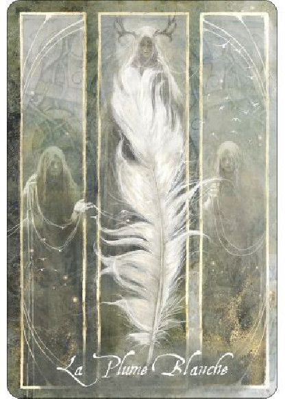 L'oracle des oiseaux messagers (28.00€ TTC)