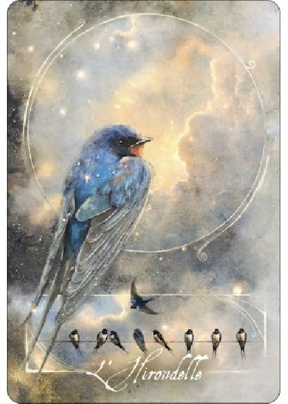 L'oracle des oiseaux messagers (28.00€ TTC)