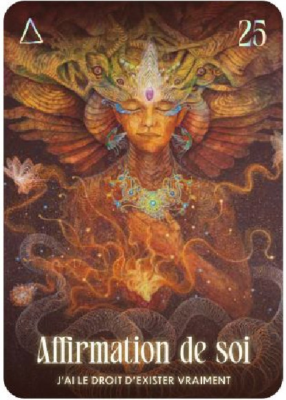 L'Oracle Chamanique (26.00€ TTC)