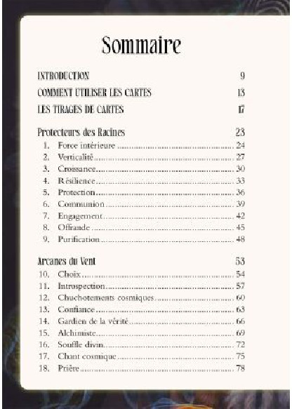 L'Oracle Chamanique (26.00€ TTC)