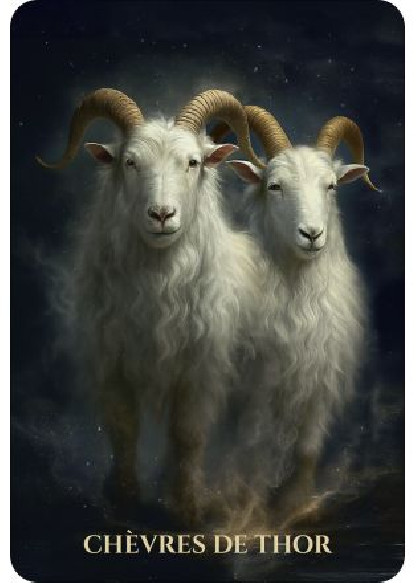 L'Oracle des animaux de lumière (28.00€ TTC)