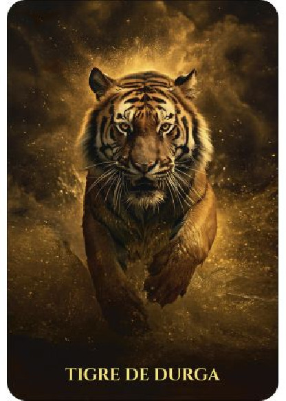 L'Oracle des animaux de lumière (28.00€ TTC)