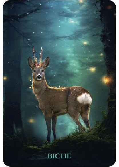 L'Oracle des animaux de lumière (28.00€ TTC)