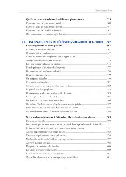 Comment devenir un être spirituel authentique (29.90€ TTC)