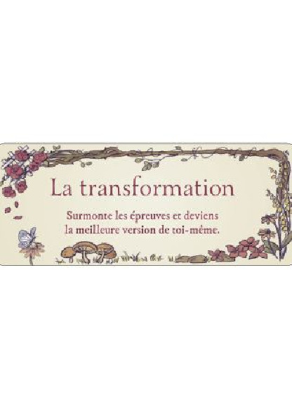 Le petit Oracle du Jardin Secret (14.90€ TTC)