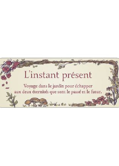 Le petit Oracle du Jardin Secret (14.90€ TTC)