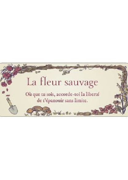 Le petit Oracle du Jardin Secret (14.90€ TTC)