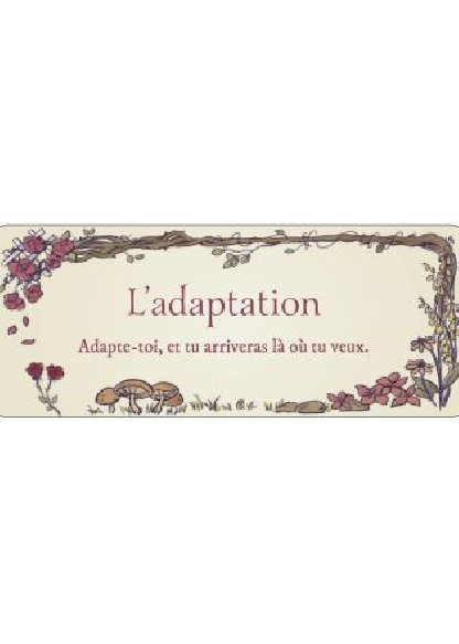Le petit Oracle du Jardin Secret (14.90€ TTC)