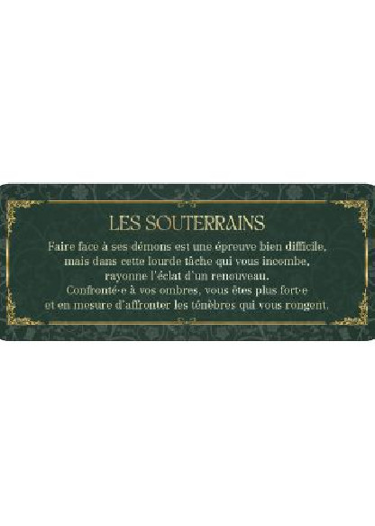 Le petit oracle des messages d'Algariel (14.90€ TTC)