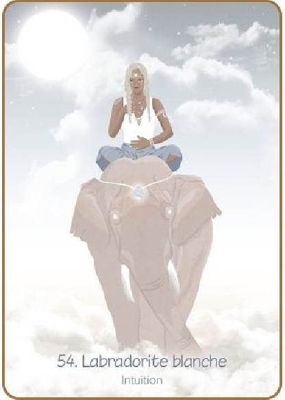 L'Oracle psycho-émotionnel des pierres (27.00€)