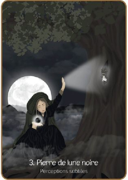 L'Oracle psycho-émotionnel des pierres (27.00€)