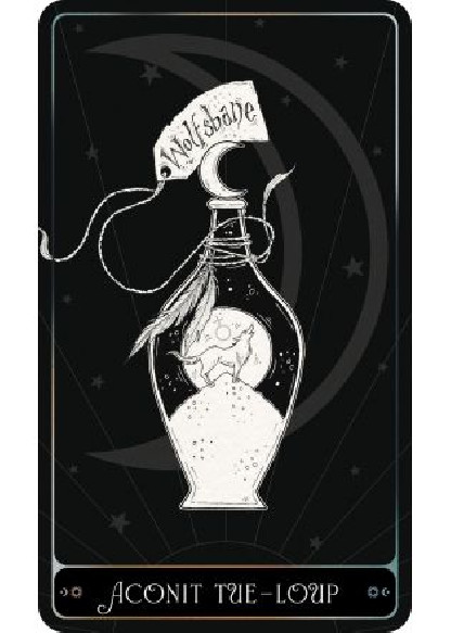 L'Oracle de l'Alchimiste (28.00€ TTC)