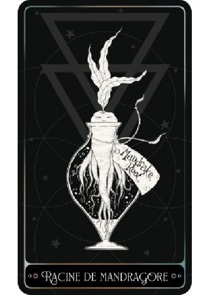 L'Oracle de l'Alchimiste (28.00€ TTC)