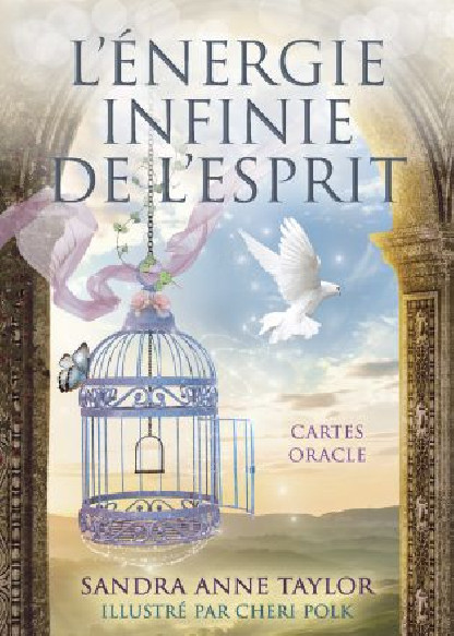 L'énergie infinie de l'esprit (26.00€ TTC)