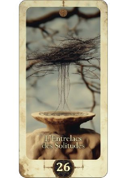 L'Oracle des âmes égarées (28.00€ TTC)