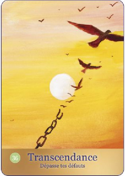 Le Chemin de Lumière (27.00€ TTC)