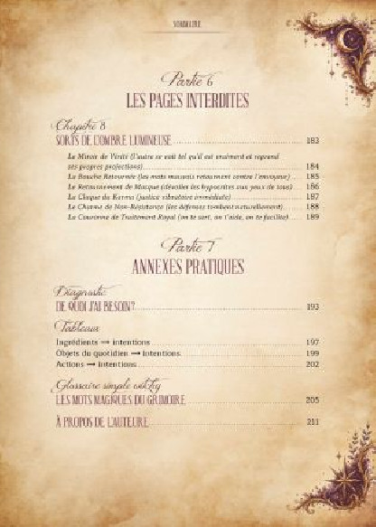 Le grimoire Witchy de manifestation (19.90€ TTC)