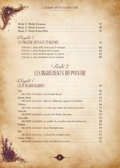 Le grimoire Witchy de manifestation (19.90€ TTC)