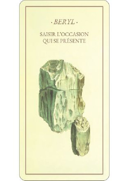 L'Oracle des minéraux (22.00€ TTC)