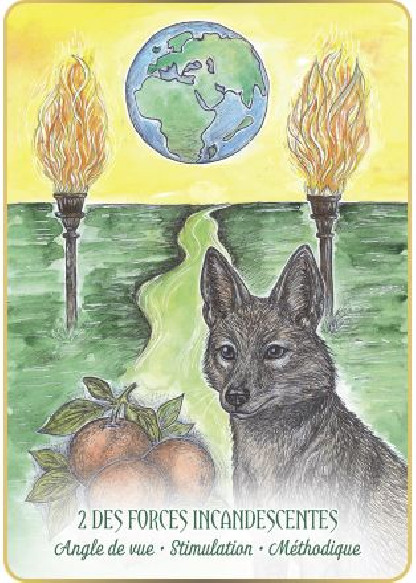 Le tarot des Gardiens de la Terre (29.90€TTC)