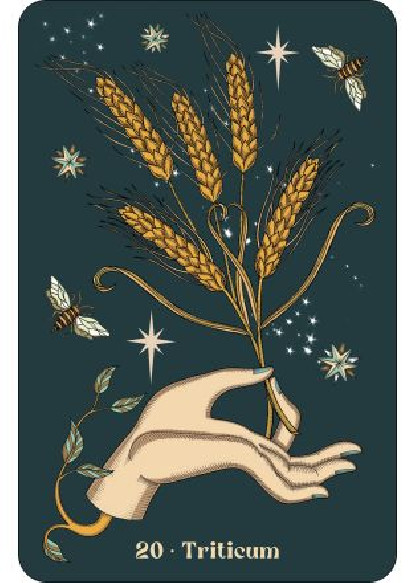 Herbarium (27.00€ TTC)