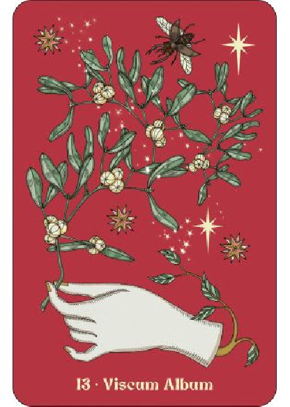 Herbarium (27.00€ TTC)