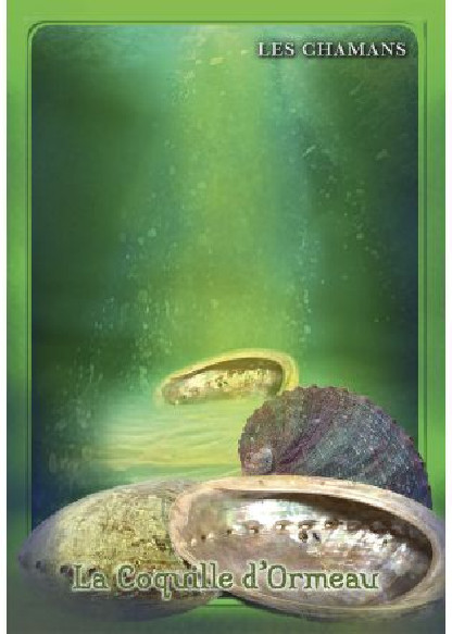 L'Oracle du peuple minéral (26.00€ TTC)