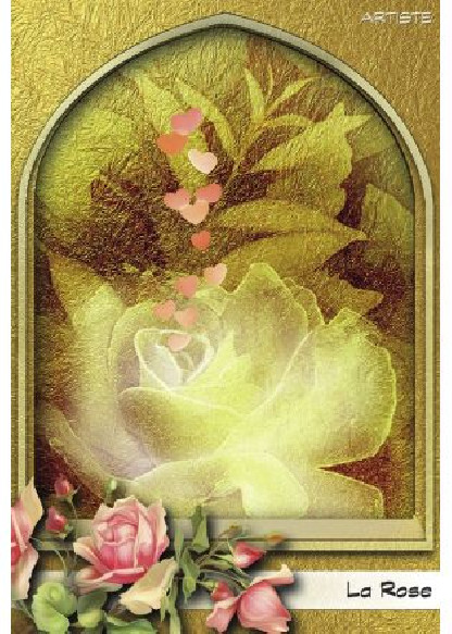 L'oracle du peuple végétal (26.00€ TTC)